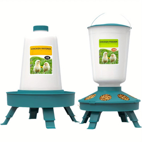 Chicken poultry feeder - chicken,