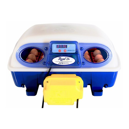 Borotto real egg incubator - borotto, 24
