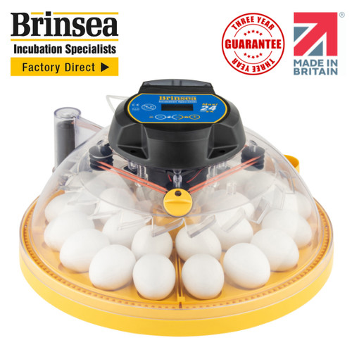 Brinsea maxi egg - maxi,