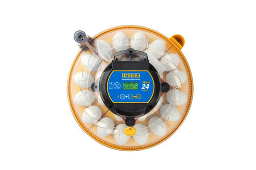 Brinsea maxi egg - maxi,