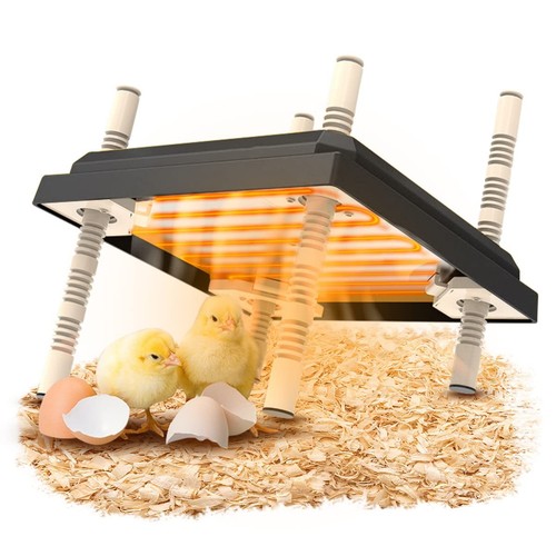 Chick rearing heating plate - heating,