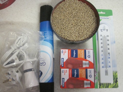 Brooder kit chicken - brooder, quails