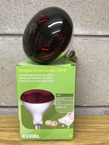 Infra red heat bulbs - infra,