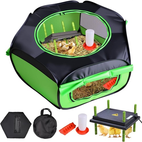 Chicken brooder box starter - chicken,