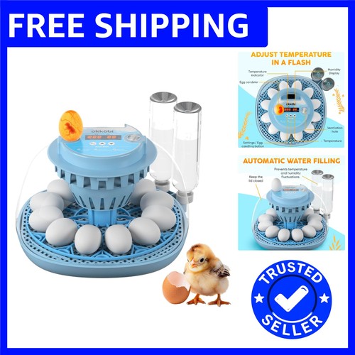 Smart egg incubator - egg,