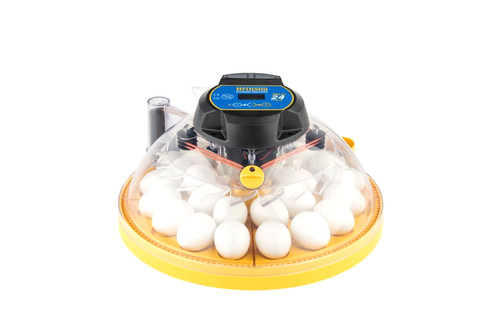 Brinsea maxi incubator - brinsea,