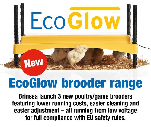 Brinsea ecoglow 1200 - 1200, chick