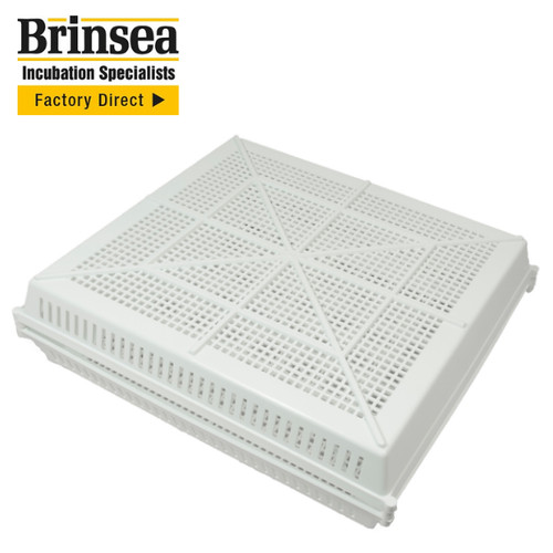 Hatching tray for all ovaeasy - hatching,