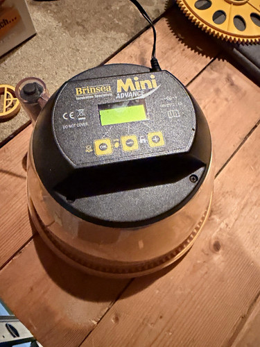 Brinsea mini advance - advance, egg