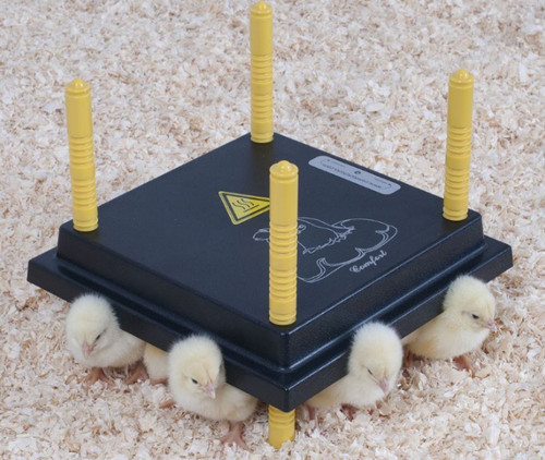 Comfort 25cm chick - 25cm,