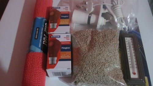 Chick brooder starter kit - chick,