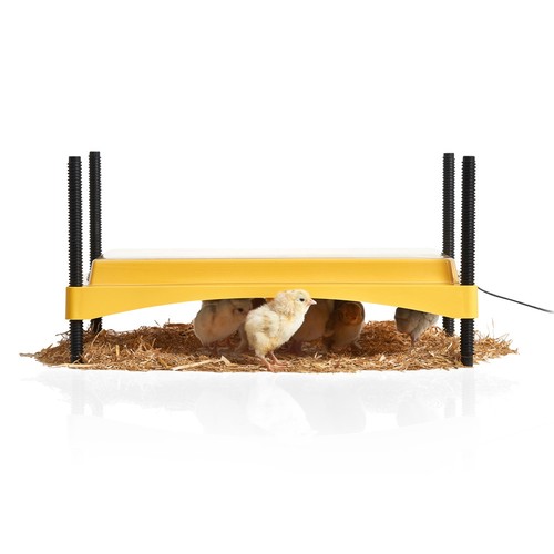 Brinsea ecoglow safety - brinsea, 1200