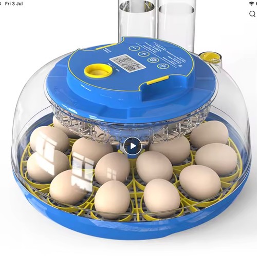 Wonegg egg incubator - wonegg, 18