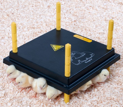 Comfort chick brooder - 25,