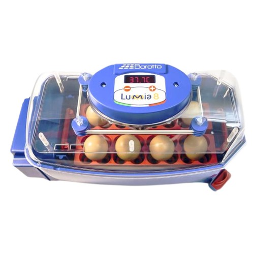 Borotto lumia automatic - borotto,