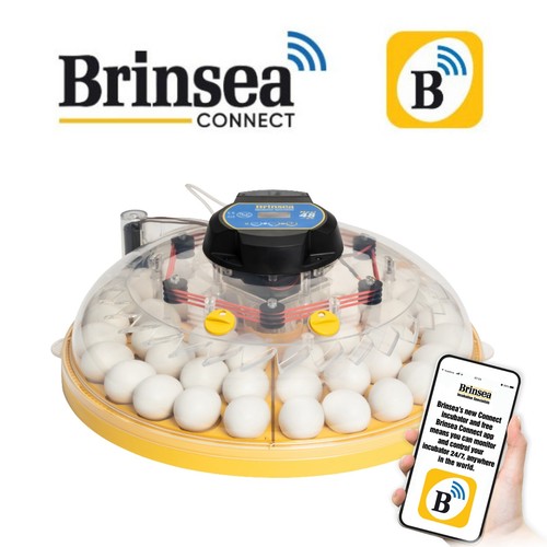 Brinsea maxi connect - brinsea,