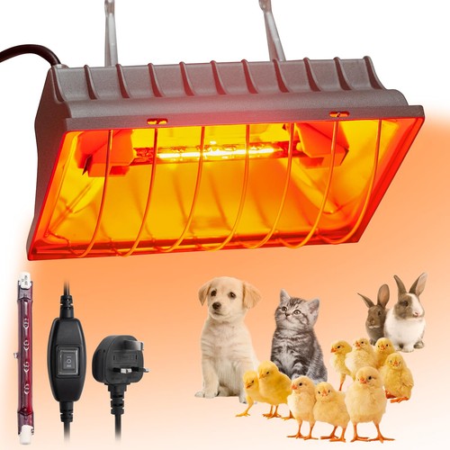 175w heat lamp chick - chick, brooder