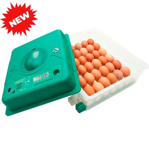 Egg incubator automatic - incubator, 36