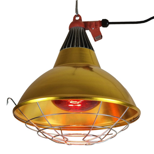 Infrared heat lamp reflector - lamp,