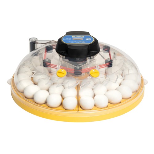 Brinsea maxi advance - brinsea,