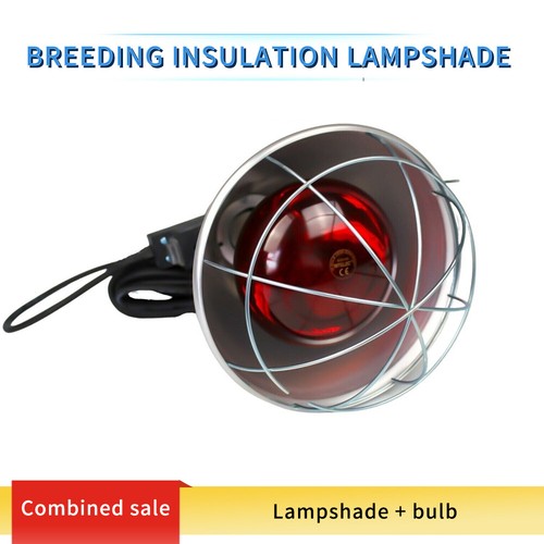Heat lamp brooder - lamp, with