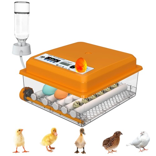 Egg automatic incubator - automatic,