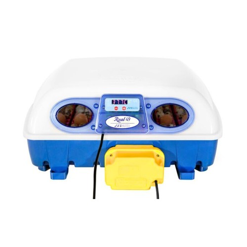Borotto real automatic - 49,
